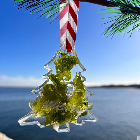 HOLIDAY ORNAMENTS: Tree (seaweed)