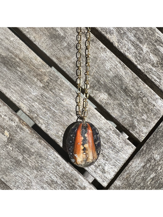 BOURNE BRIDGE NECKLACE- Crab & Blue Mussel