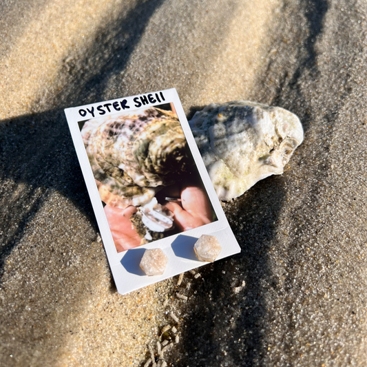 NORTH CHATHAM STUD: Oyster Shell